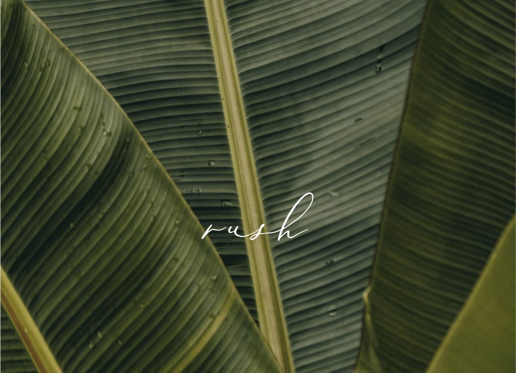 Reethi Rush