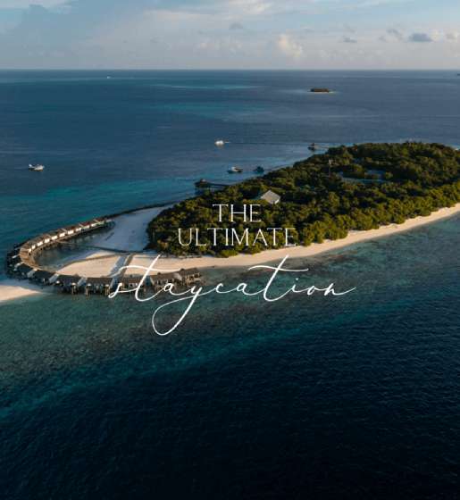The Ultimate Staycation