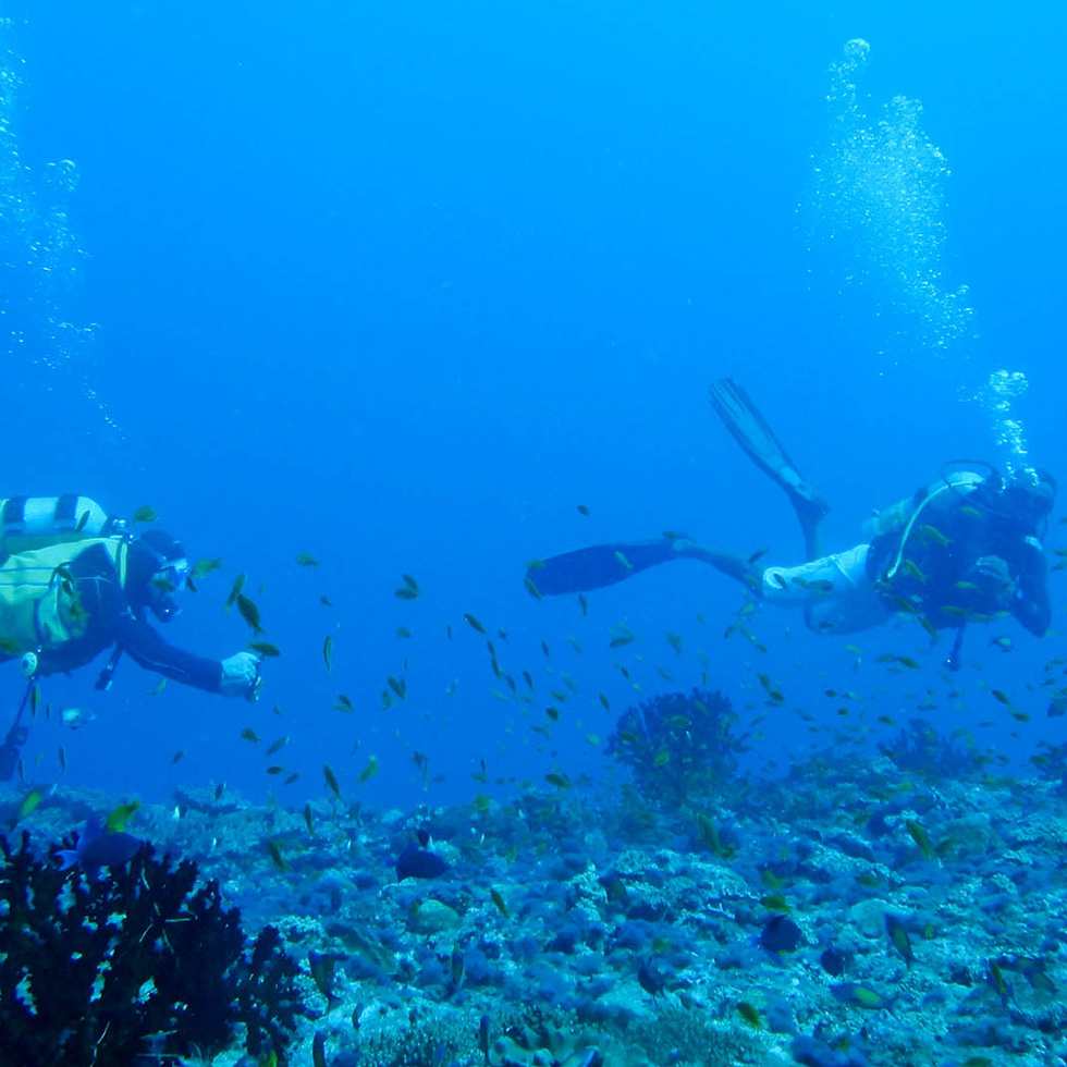 Underwater diving at Reethi Resort Maldives
