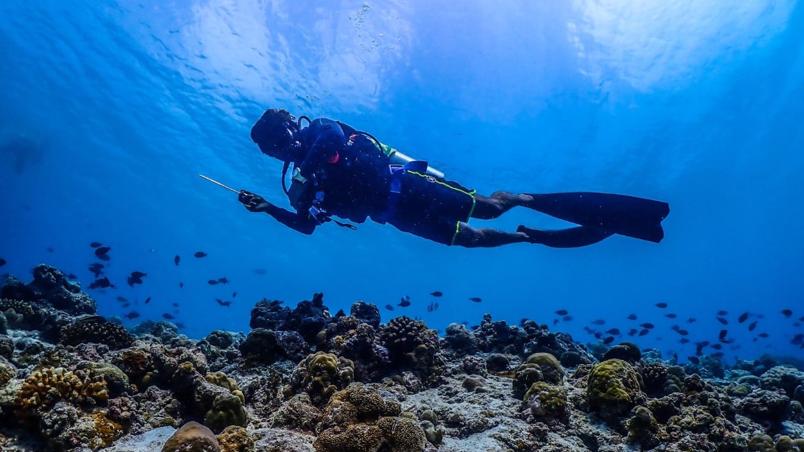 Diving activities at Reethi Resort, Maldives