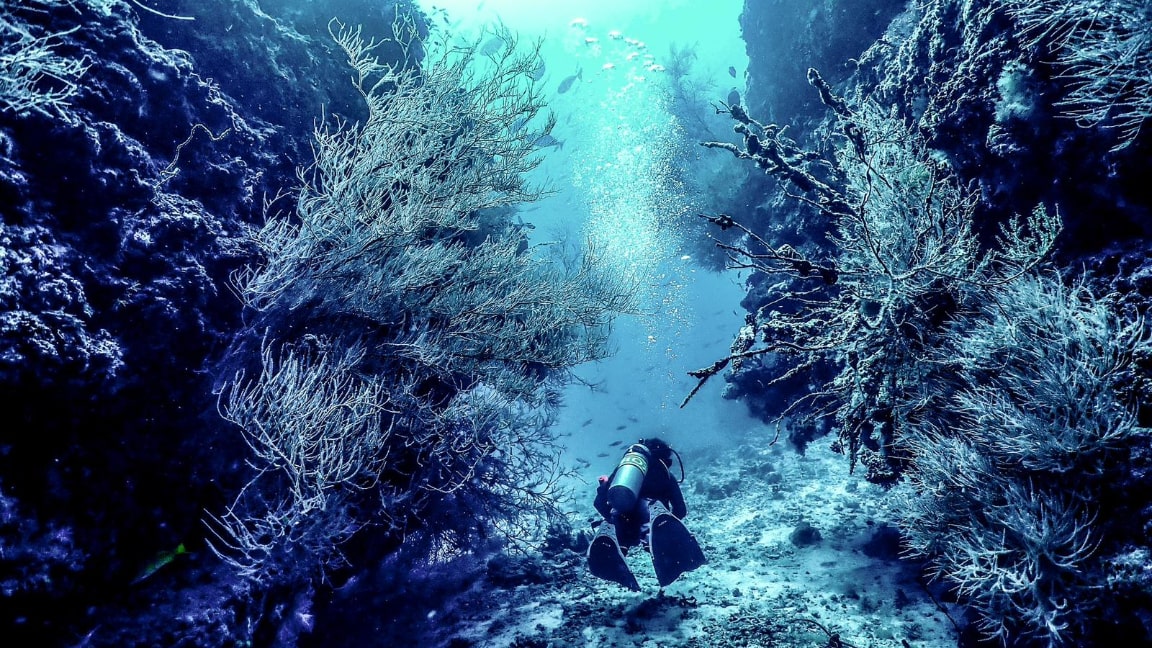 A scuba diver explores coral reef scene at Maldives