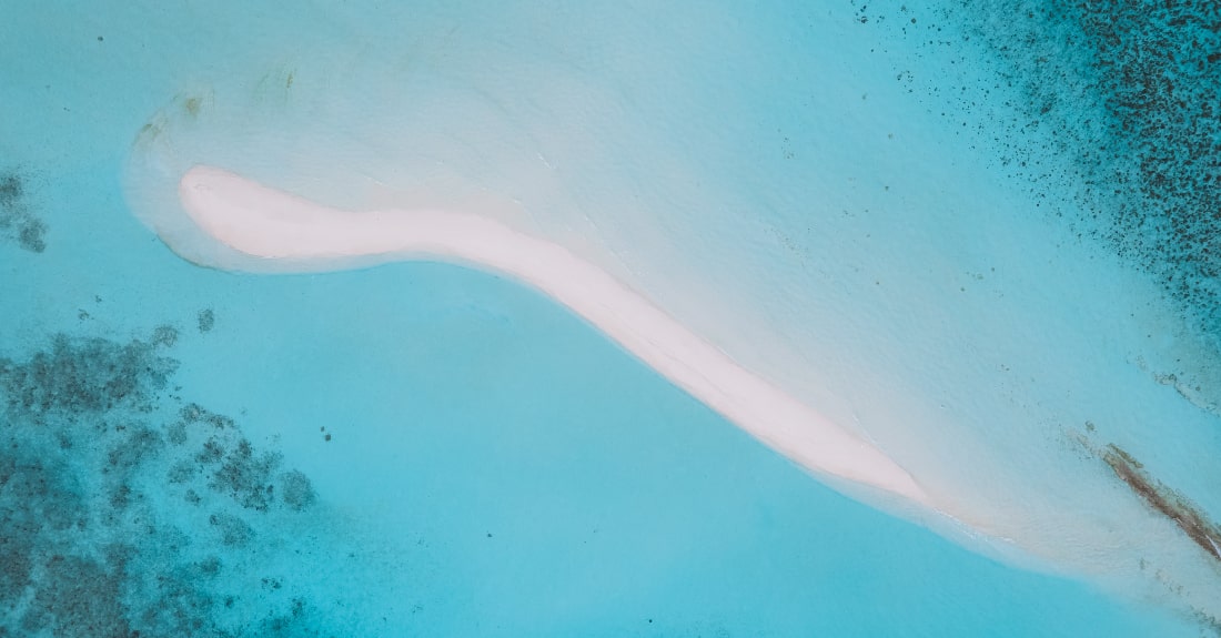 Heron on the beach at Maldives