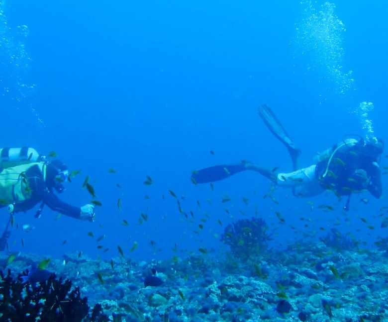 Underwater diving at Reethi Beach Resort Maldives