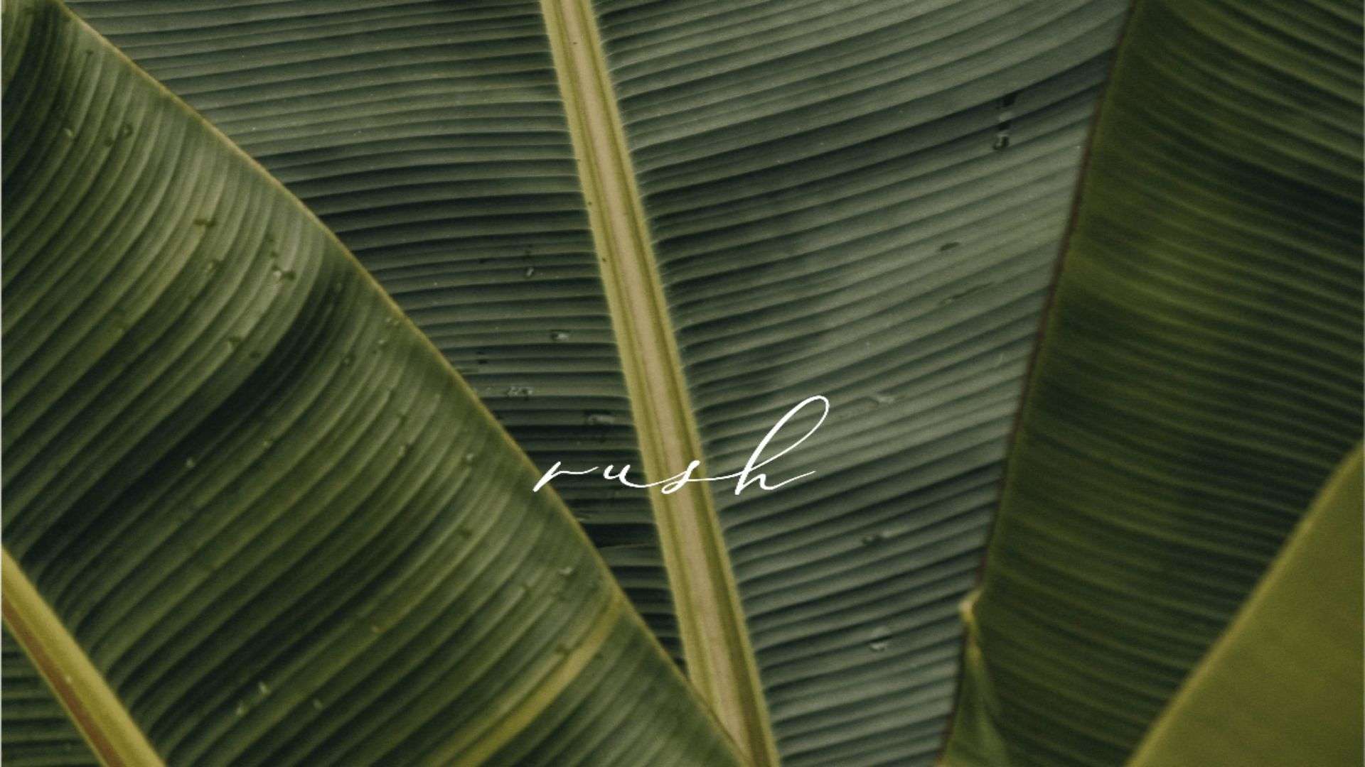 Reethi Rush
