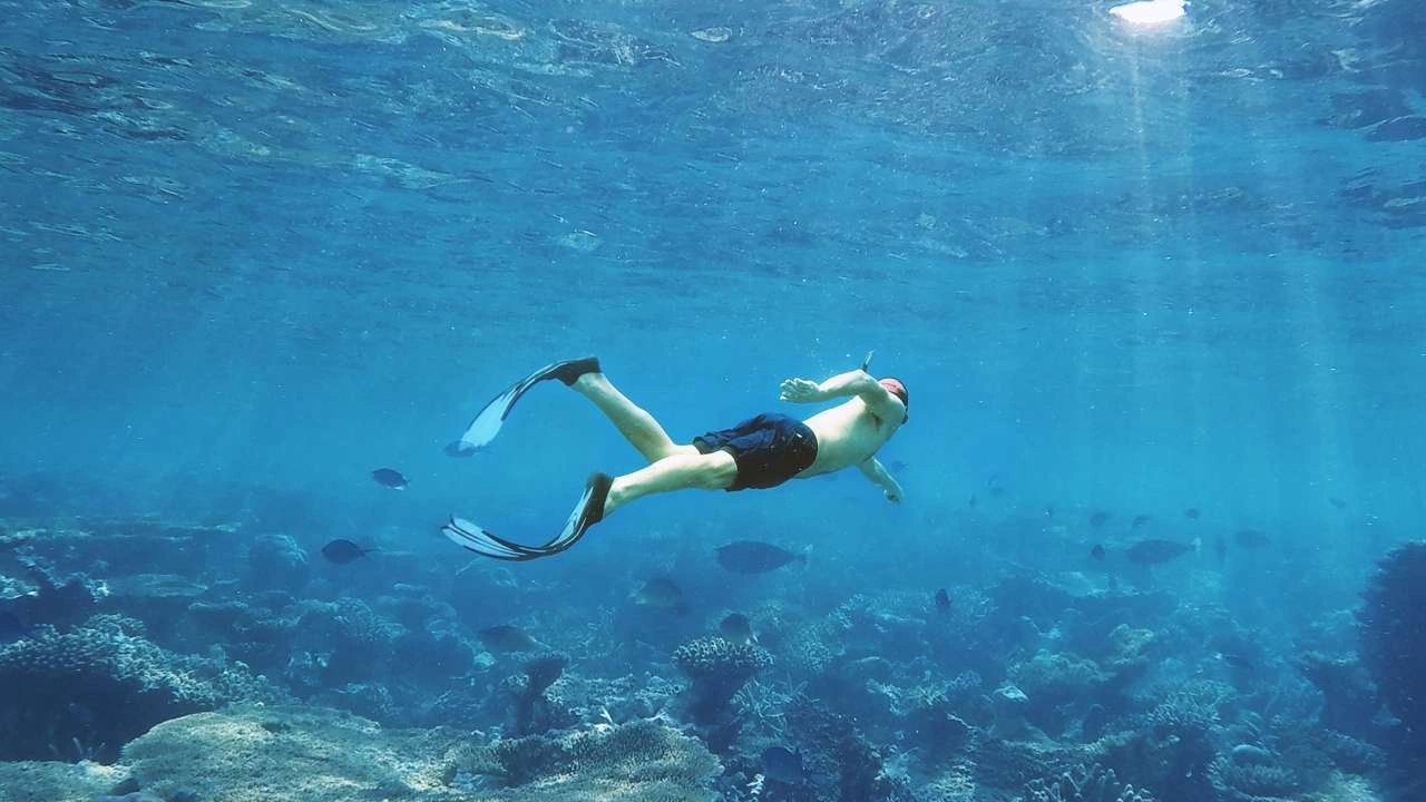 Ocean Fanatics